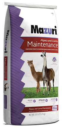 Mazuri Alpaca + Llama Maintence