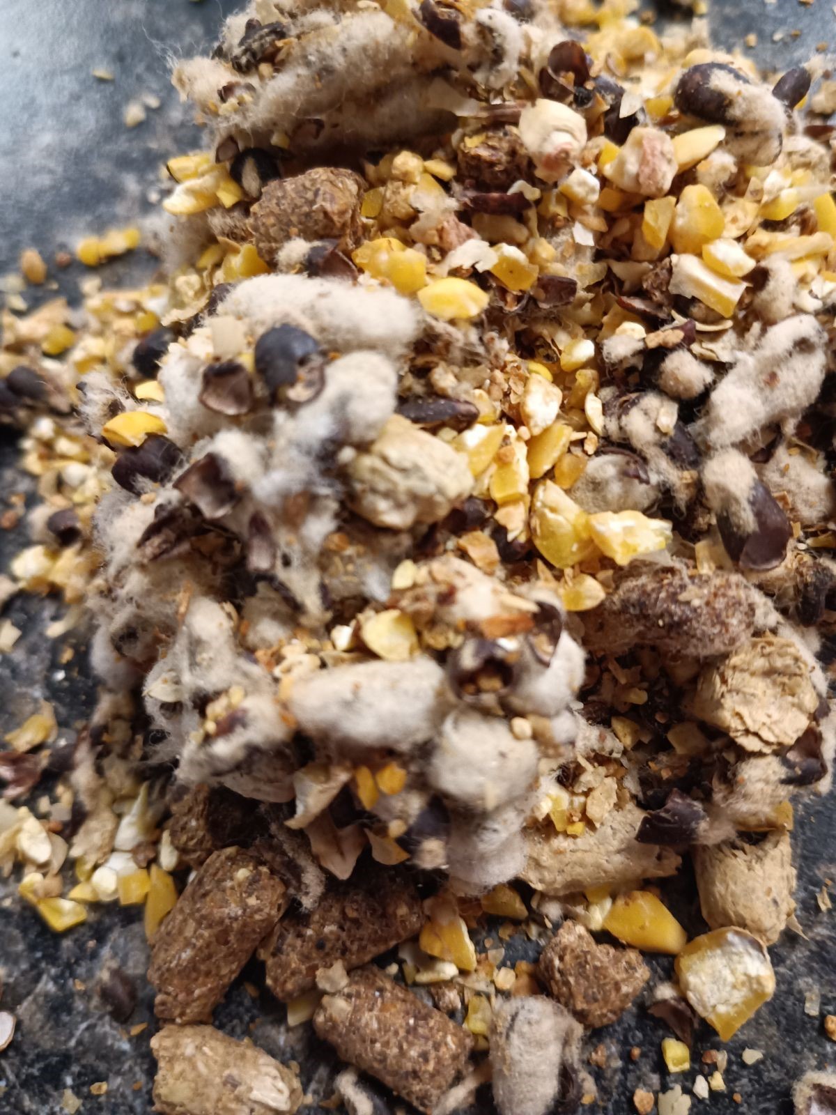 T&C Custom Mix #1 Ton