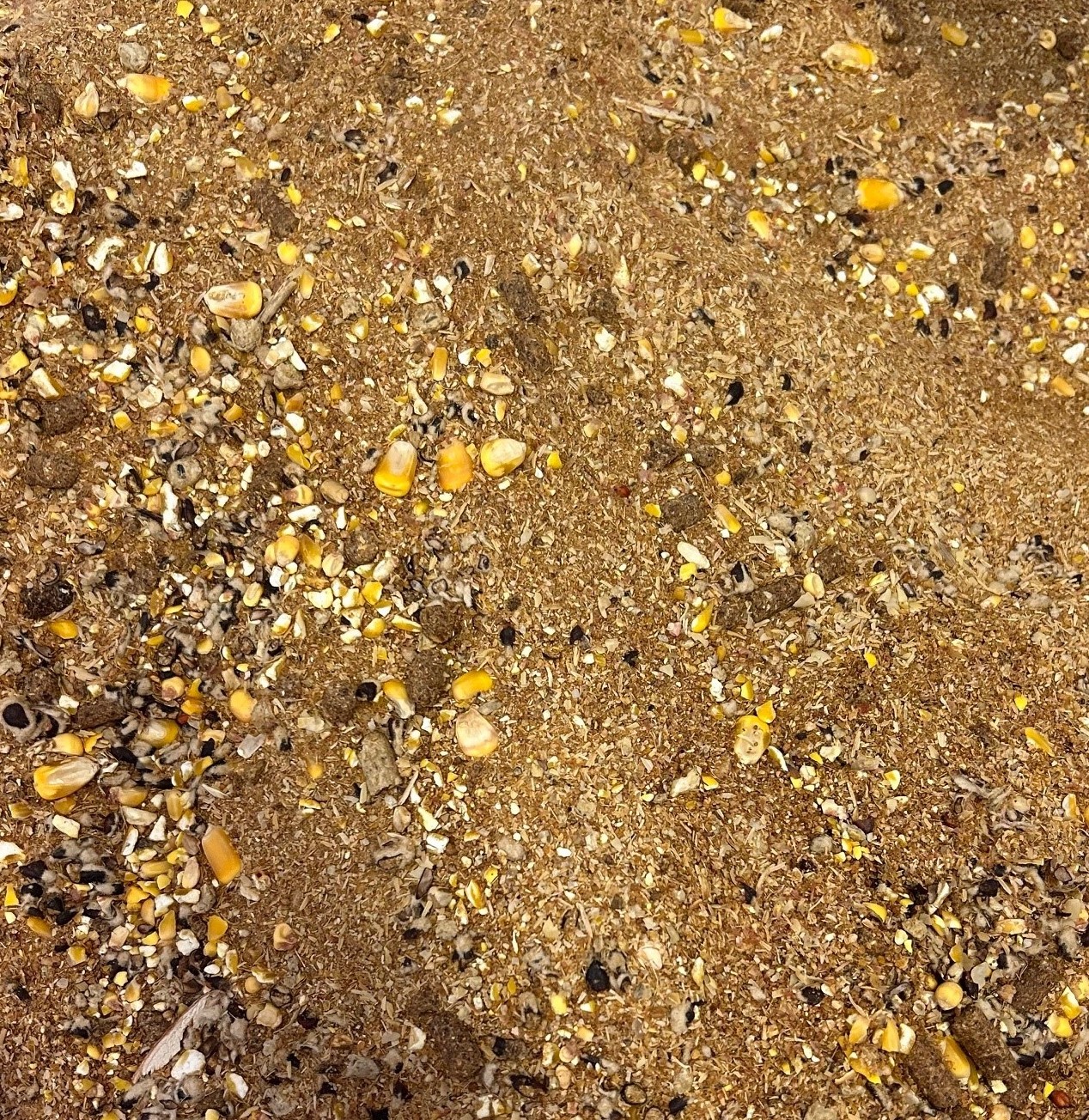 Economy Mix 12% Rockin K