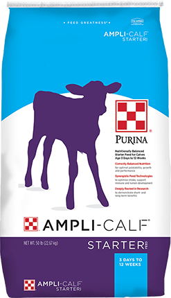 Ampli-Calf Starter 20