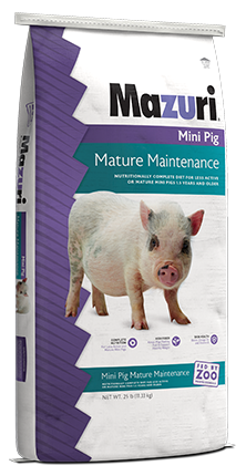 Mazuri Mini Pig Elder