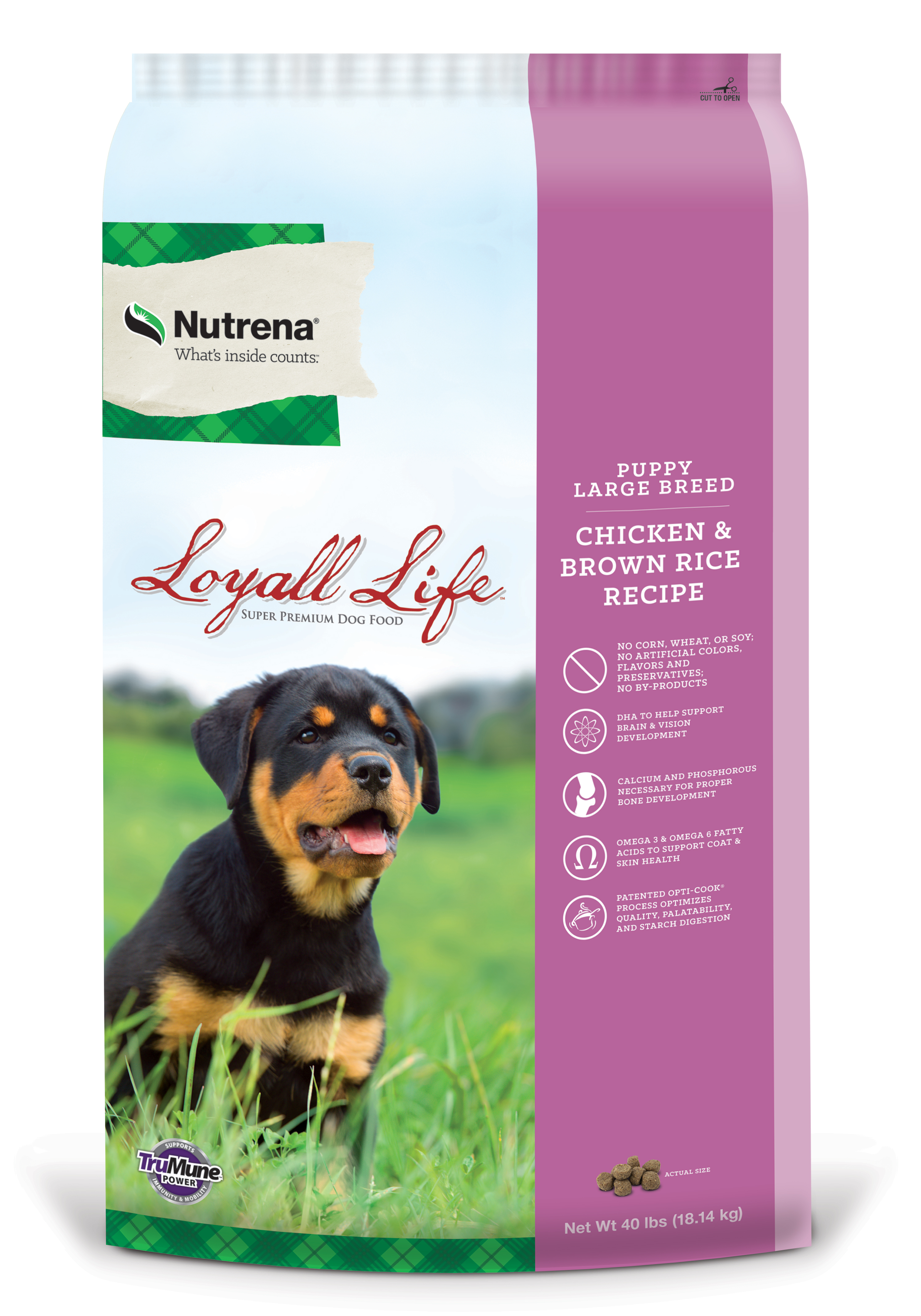 Loyalife Pup LGB CKN & BR