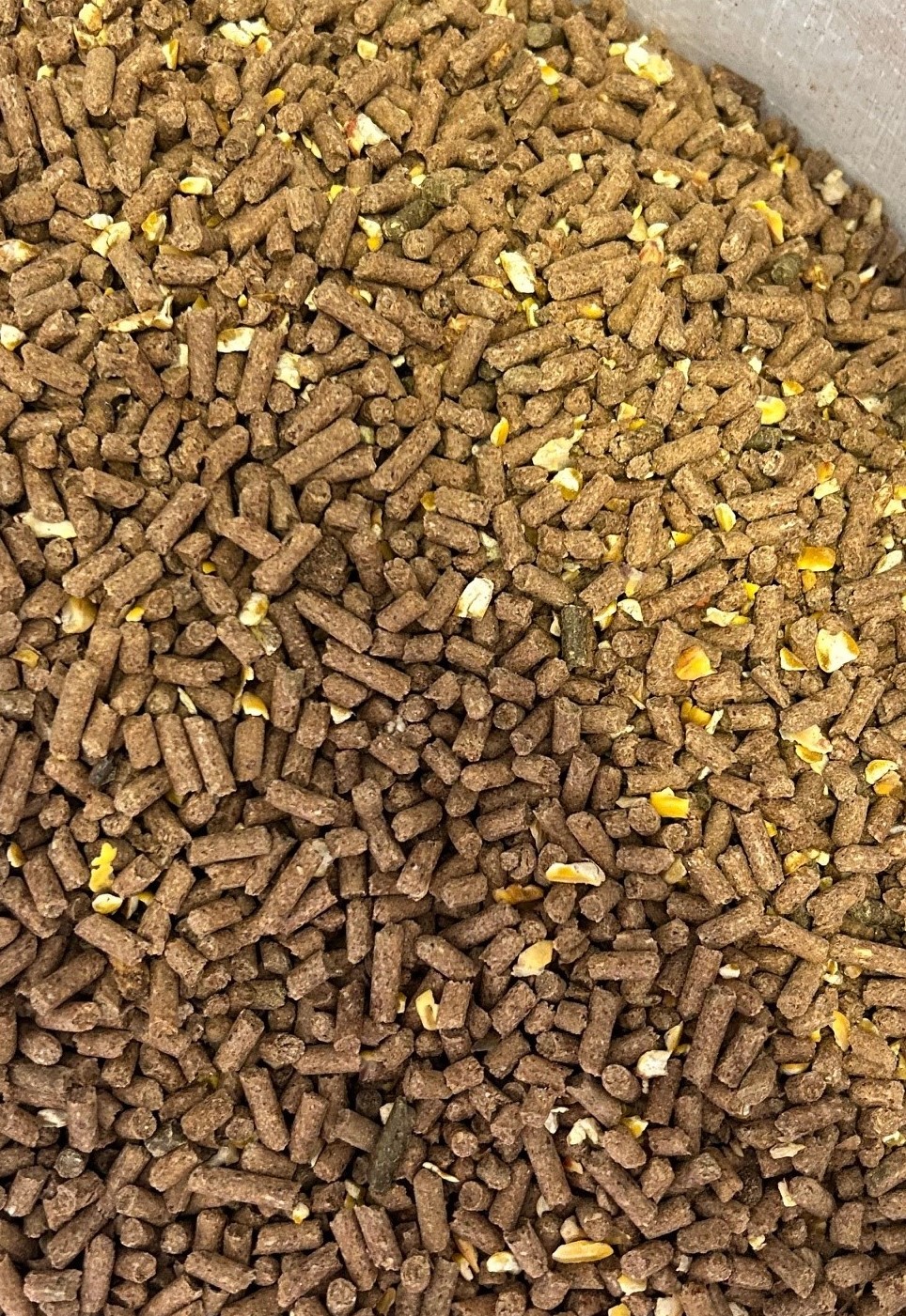 T&C Pork Builder 16%