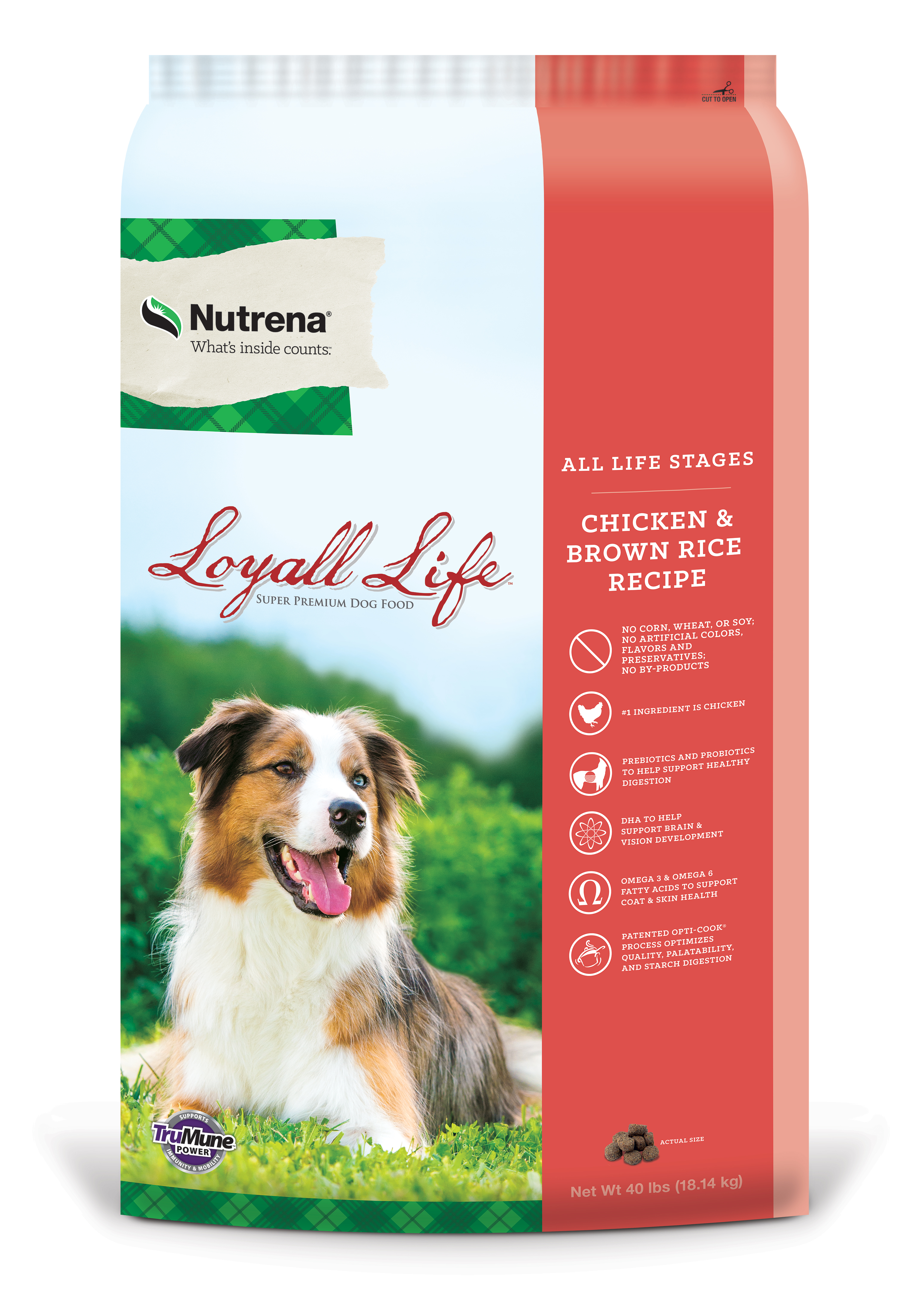 Loyalife All Stage CKN&BR