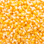 Whole Corn