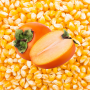 Whole Corn Persimmon 50#