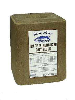 Trace Mineral Block