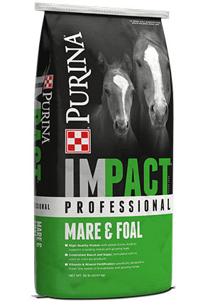 Impact Professional Mare + Foal