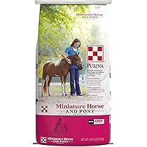 Miniature Horse & Pony