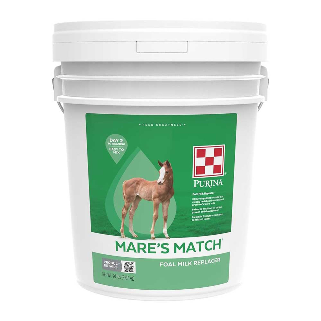 Mare's Match Foal NM 20#