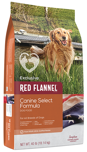 Red Flannel Canine 21 40#