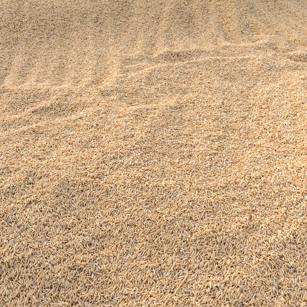 Rice Bran (Berry) 50#