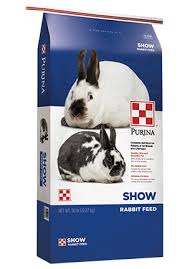 Honor Show Chow Rabbit