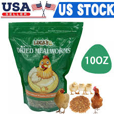 Meal Worms Hen Treats 10oz